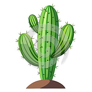 Realistic Cactus Vector Illustration photo