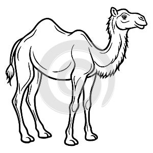 Realistic Camel Portrait