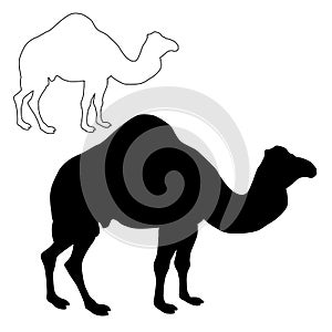 Realistic camel silhouette black set