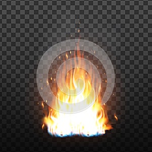 Realistic Campfire Flame With Sparks Effect Vector