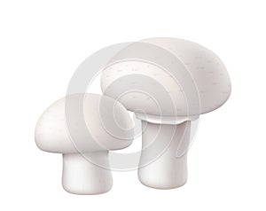 Realistic champignon mushroom isolated on white background. Cremini whole portobello