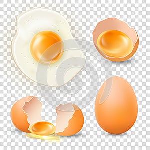 Realistic chicken eggs vector set icon isolated on transparent background. Detailed fried egg top view, broken, fresh and whole