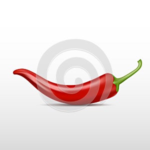 Realistic Chili Pepper, Vector illustration on isolated white background