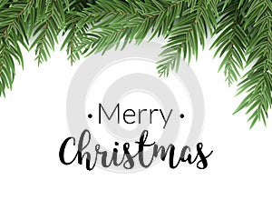 Realistic christmas fir background. Merry christmas pine tree decoration border card