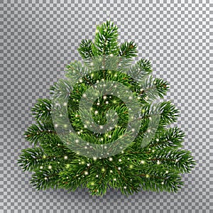 Realistic Christmas green tree without toys.