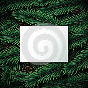 Realistic Christmas tree branches background with white paper for your text.