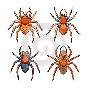 Realistic Color Illustration of Corinnidae