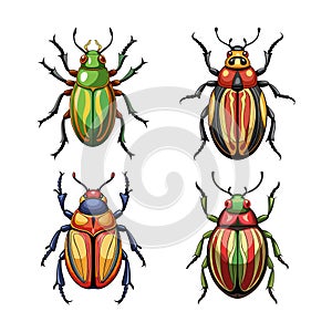 Realistic Color Illustration of Dermestid Beetle