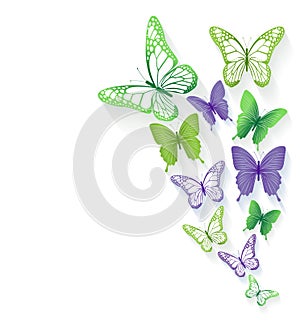 Realistic Colorful Butterflies Isolated for Spring