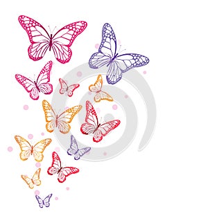 Realistic Colorful Butterflies Isolated for Spring photo