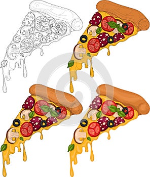 Realistic colorful pizza slice with tomato, mushrooms and olives sketh template set. photo