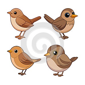 Realistic Common Chiffchaff Bird Illustration