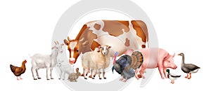 Farm Animals Composition photo