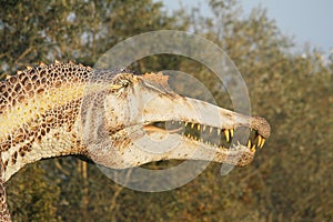 Realistic copy of spinosaur in a natural environment