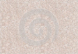 Realistic White Cork Texture