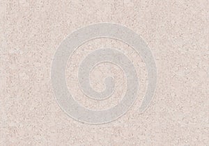 Realistic White Cork Texture