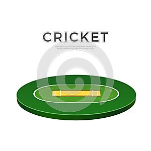 Vector cricket playground 3d icon for betting