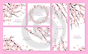 Realistic 3d Detailed Blooming Cherry Blossom Card Set. Vector