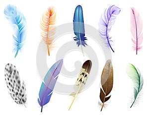 Realistic 3d feathers. Birds colored falling fluffy feathers, floating bird soft plumage feathers isolated vector icons