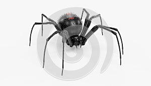 3D Render of Black Widow Spider