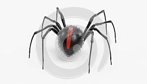 3D Render of Black Widow Spider