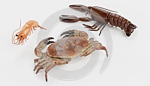 3D Render of Crustacean Edible