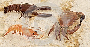 3D Render of Crustacean Edible