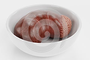 3D Render of Human Kidney