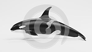 3D Render of Killer Whale