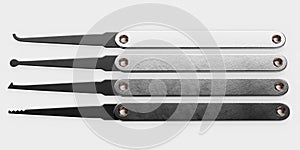 3D Render of Lock PIcks