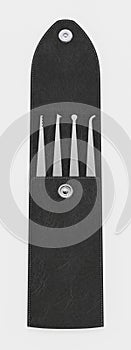 3D Render of Lock PIcks