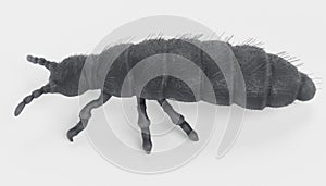 3D Render of Snow Flea