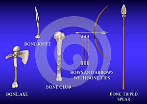 Realistic 3d Set Bone fighting weapon