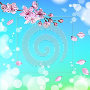 Realistic 3d spring sale script lettering web banner template. Color pink sakura cherry blossom flower blue sky