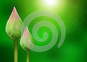 Realistic 3d Thai pink lotus buds with water drop on blurred green nature bokeh background