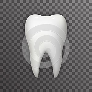 Realistic 3d Tooth Poster Transperent Stomatology Icon Template Background Mock Up Design Vector Illustration photo