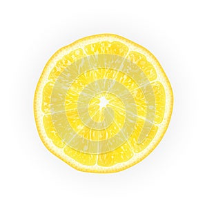 Realistic 3d Vector Illustration of sliced yellow lemon fruit. C photo