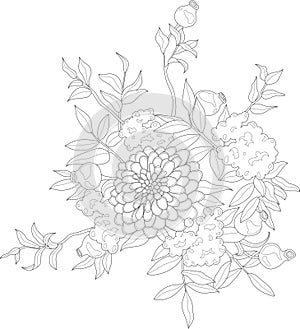 Realistic dahlia and pomegranate flower bouquet sketch template. Cartoon peony vector illustration in black and white