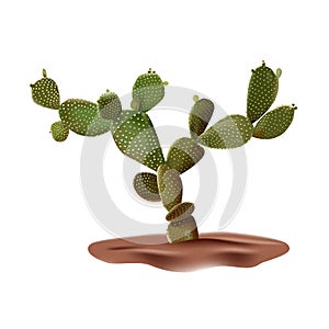 Realistic desert cactus prickly pear. Opuntia plant of desert among textured gradient sand. Realistic 3d volume vector photo