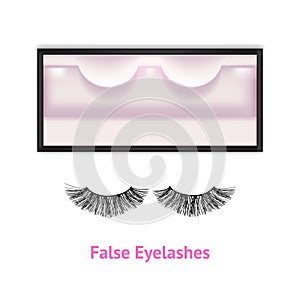 Realistic Detailed 3d False Eyelashes in Package Box Card. Vector