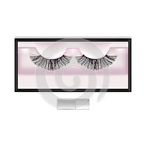 Realistic Detailed 3d False Eyelashes in Package Box. Vector