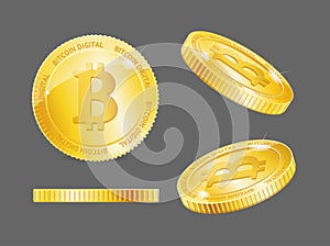 Realistic Detailed 3d Gold Bitcoin Different Types Set. Vector