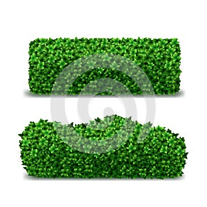 Realistic Detailed 3d Green Hedges Set. Vector