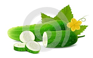 Realistic Detailed 3d Green Raw Whole Cucumbers, Slices, Flower and Leaves Element for Salad Recipe, Market. Vector illustration