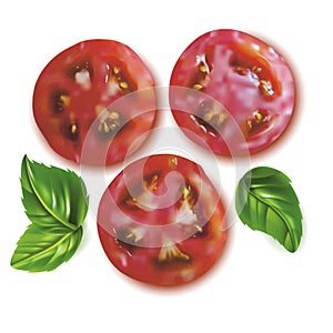 Realistic Detailed 3d Slice Tomato and Basil Leaves Set. Vector