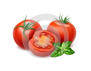 Realistic Detailed 3d Tomato Slices and Whole and Basil Leaves Set. Vector