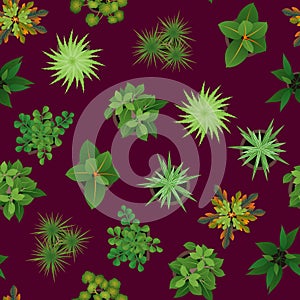 Realistic Detailed 3d Top View Green Plants Seamless Pattern Background. Vector