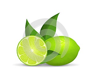 Realistic Detailed 3d Whole Green Fruit Lime and Slice. Vector