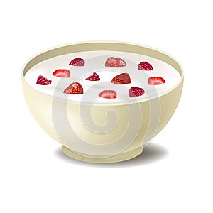 Realistic Detailed 3d Cereals Oatmeal Breakfast in White Ceramic Bowl. Vector