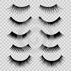 Realistic Detailed 3d Feminine Black Lashes Set. Vector photo